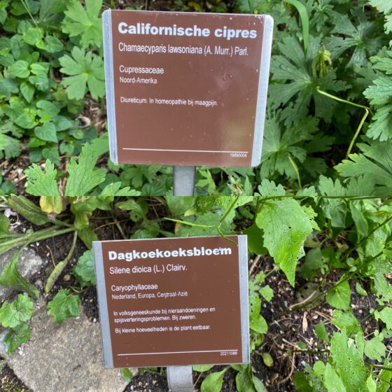 Hortus Alkmaar: prachtige natuur en onbewezen ideetjes 20