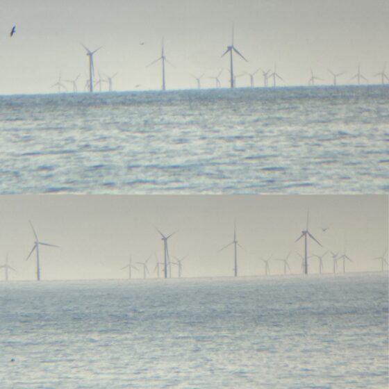 Een dagje strand voor platte-aardegelovigen en skeptici 14