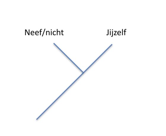 Verwantschap van je familie