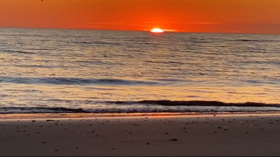 Een dagje strand voor platte-aardegelovigen en skeptici 16