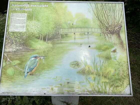 Hortus Alkmaar: prachtige natuur en onbewezen ideetjes 18