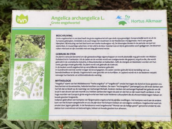 Hortus Alkmaar: prachtige natuur en onbewezen ideetjes 21