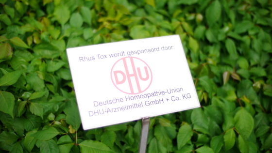 Hortus Alkmaar: prachtige natuur en onbewezen ideetjes 22