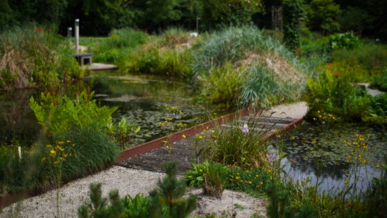 Hortus Alkmaar: prachtige natuur en onbewezen ideetjes 19