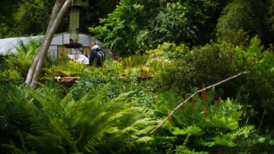 Hortus Alkmaar: prachtige natuur en onbewezen ideetjes 24