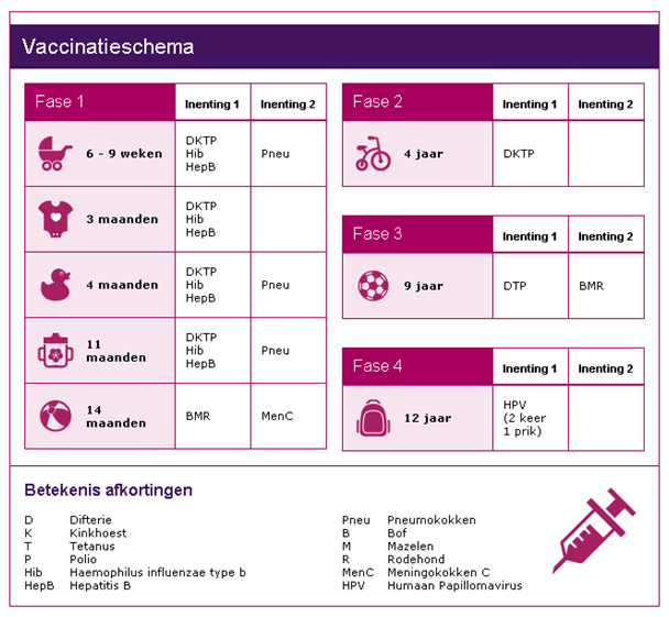 De verschillende fasen van het Rijksvaccinatieprogramma.