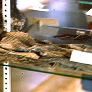 Alien op 'Roswell Slides' blijkt Indiaanse mummie 1