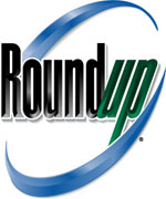 Roundup van Monsanto krijgt, zoals zo vaak, de zwarte piet toegeschoven.