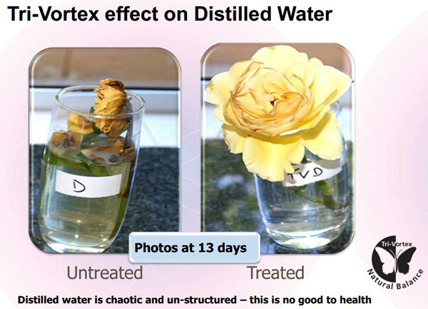 zeer overtuigende (uche, uche) experimenten die het voordeel laten zien van Tri-Vortex water