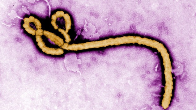 Ebola en de kwakzalvers 14