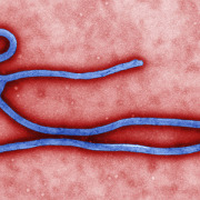Internationale pers duikt op homeopathische ebolamissie in Liberia 1