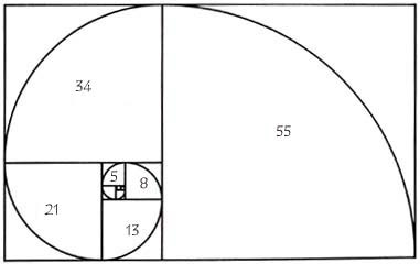 De Fibonacci-spriaal