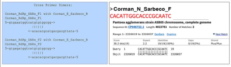 Bedenkingen bij het 'retraction paper' voor de Corman-Drosten PCR-test 12