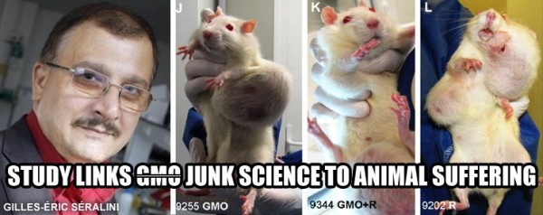seralini-rats-junk-science